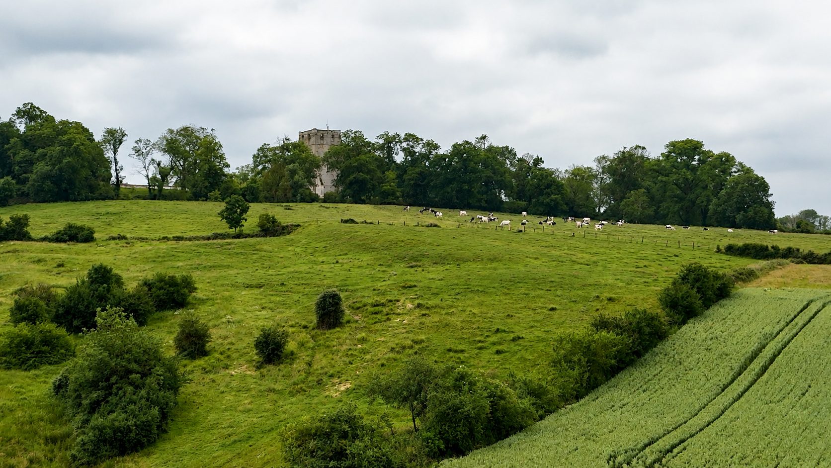 L'abbaye du Mont de Watten